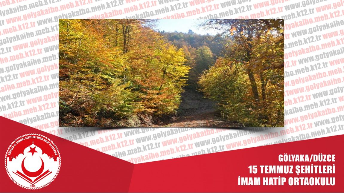 YILANÇATI KANYONU TABİAT PARKI